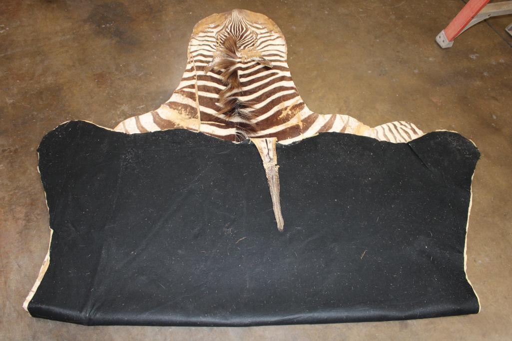 ZEBRA Hide or ZEBRA Rug with Felt Backing - 8