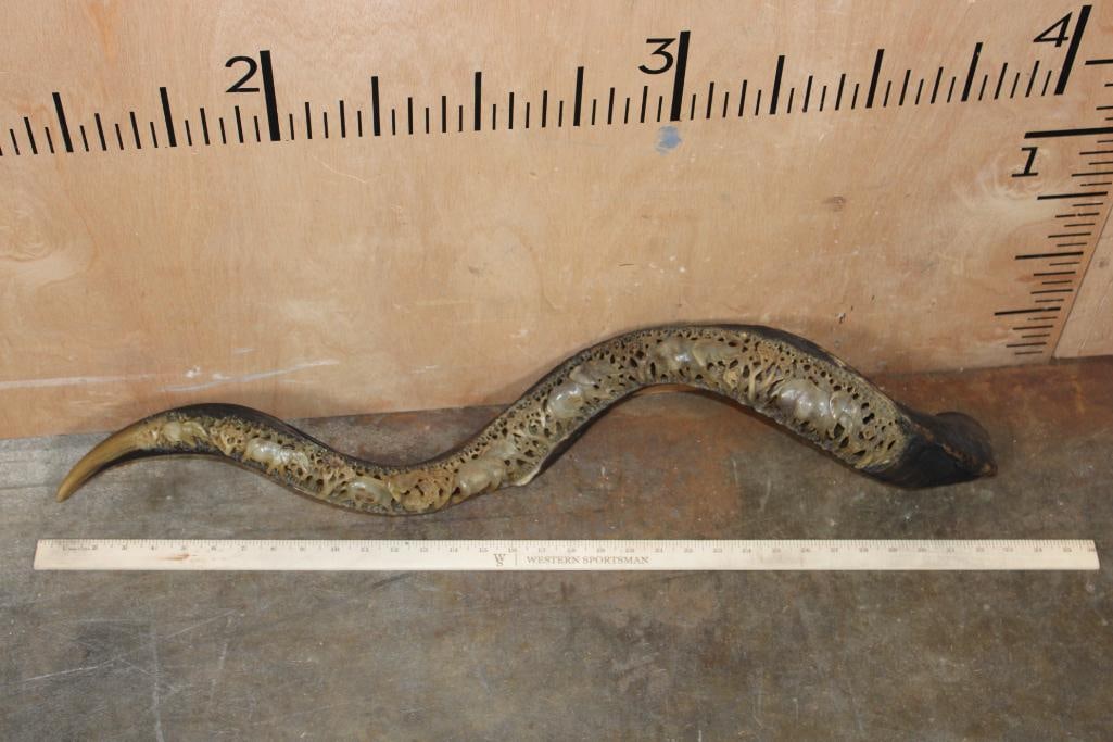 Hand-carved and Polished KUDU Horn with an Elephant Scene - 2