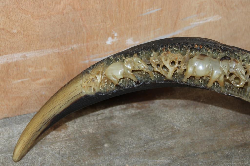 Hand-carved and Polished KUDU Horn with an Elephant Scene - 3