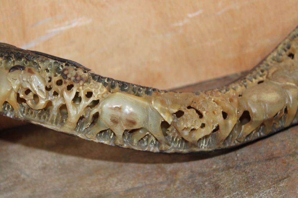 Hand-carved and Polished KUDU Horn with an Elephant Scene - 4