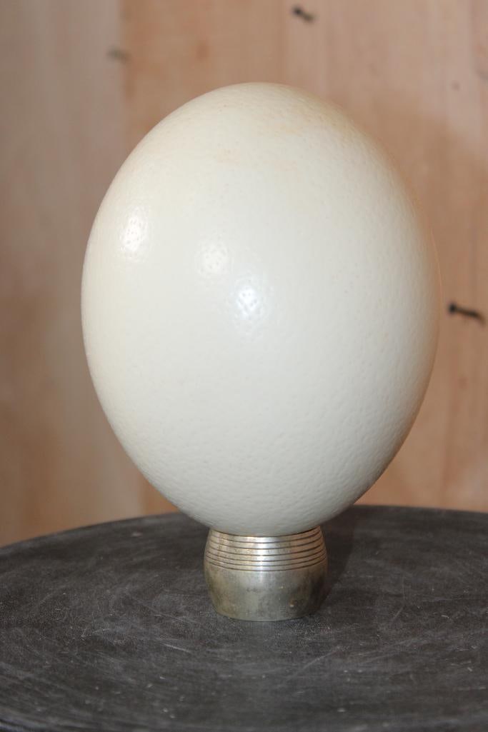 Big OSTRICH EGG with a Brass Ring Stand - 2