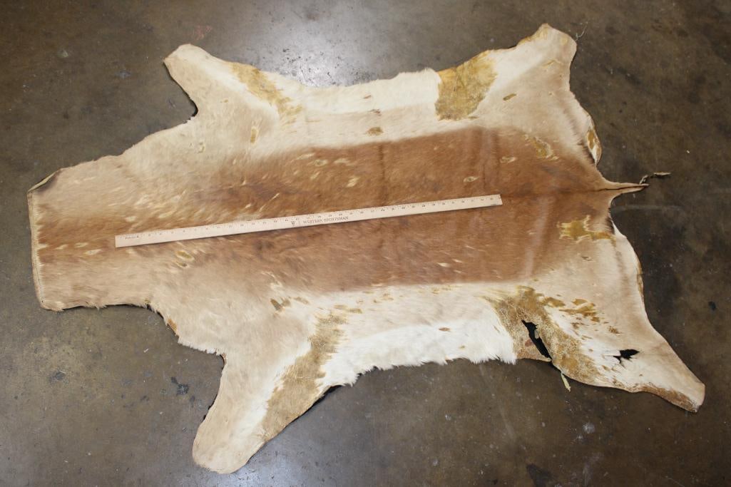 IMPALA Hide or IMPALA Rug with Felt Backing - 2