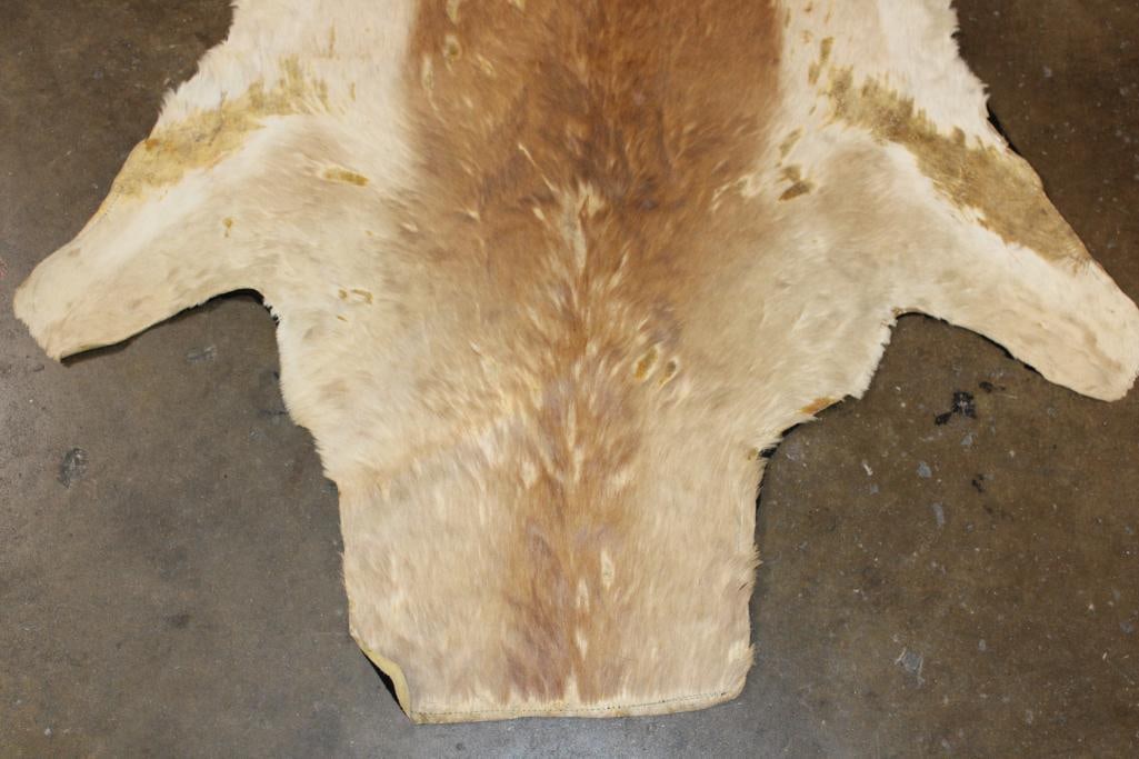 IMPALA Hide or IMPALA Rug with Felt Backing - 3