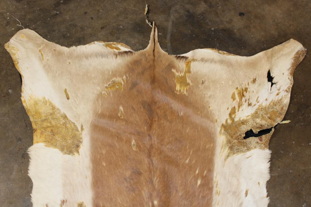 IMPALA Hide or IMPALA Rug with Felt Backing - 4