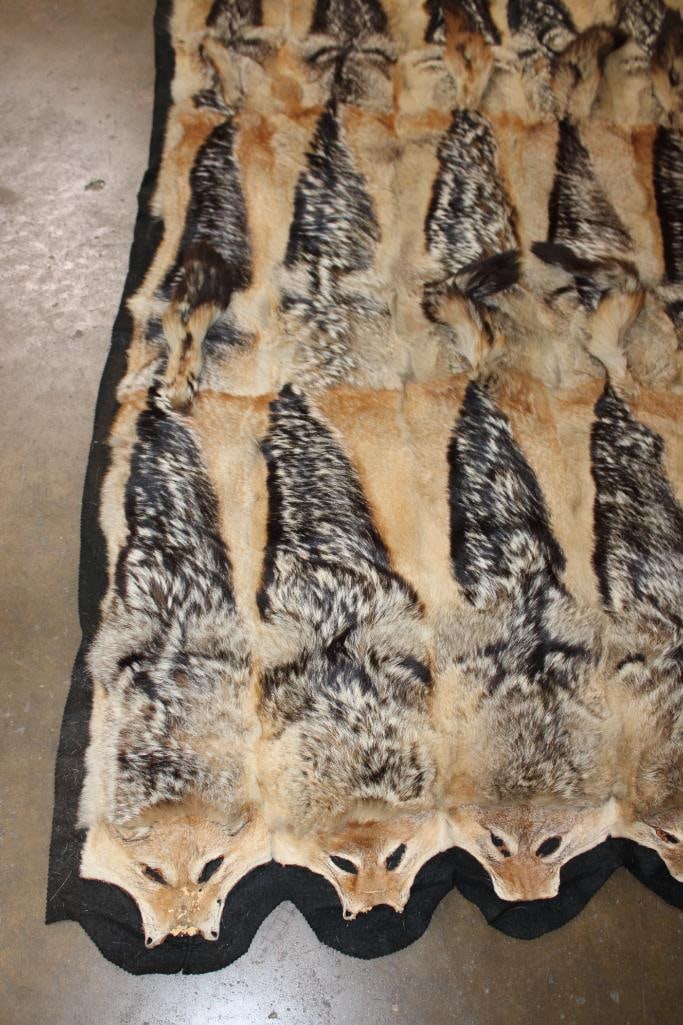BLACK-BACKED JACKAL Hide Rug or Blanket - 2