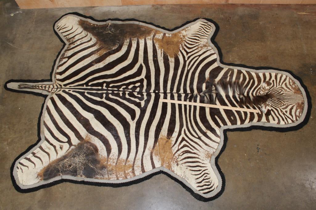 Double Felted ZEBRA HIDE or ZEBRA RUG - 2