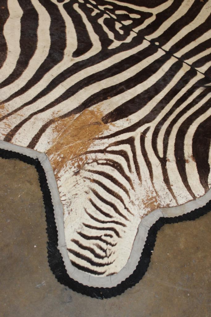 Double Felted ZEBRA HIDE or ZEBRA RUG - 4