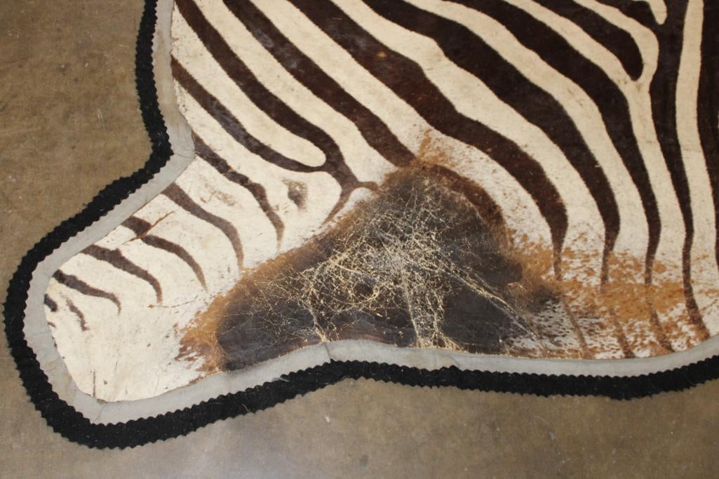 Double Felted ZEBRA HIDE or ZEBRA RUG - 5