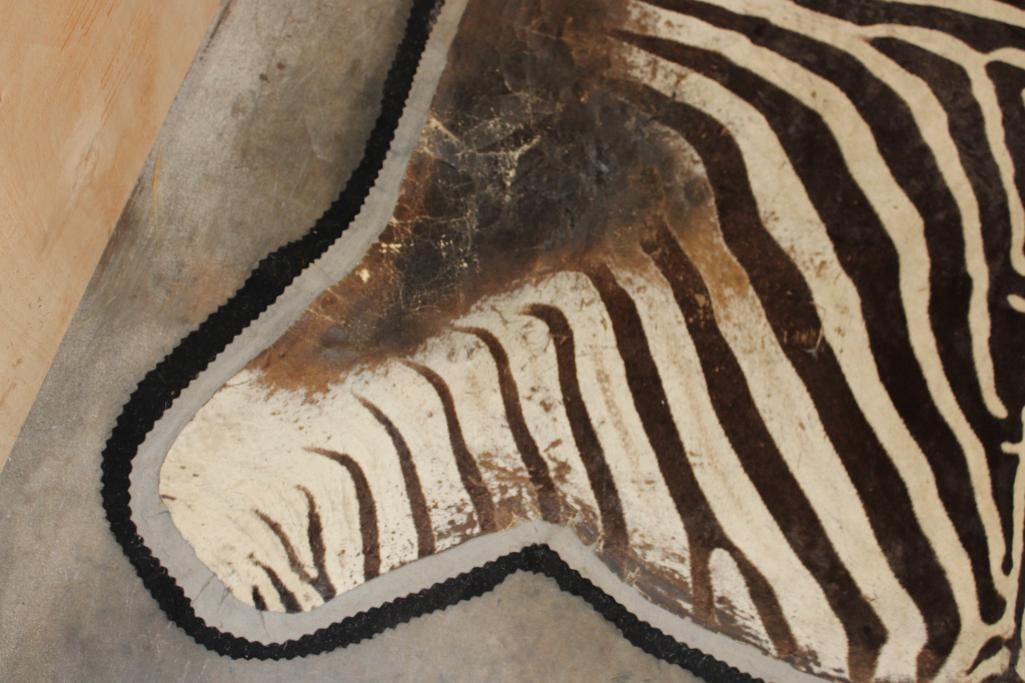 Double Felted ZEBRA HIDE or ZEBRA RUG - 6