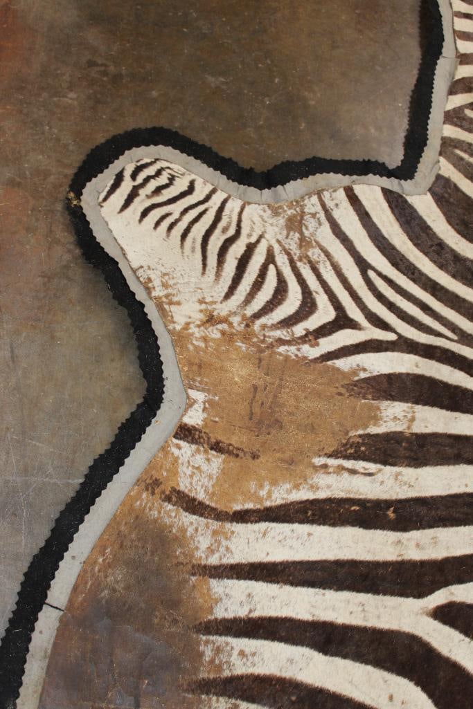 Double Felted ZEBRA HIDE or ZEBRA RUG - 7