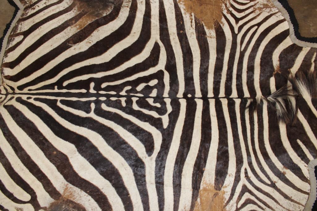 Double Felted ZEBRA HIDE or ZEBRA RUG - 8