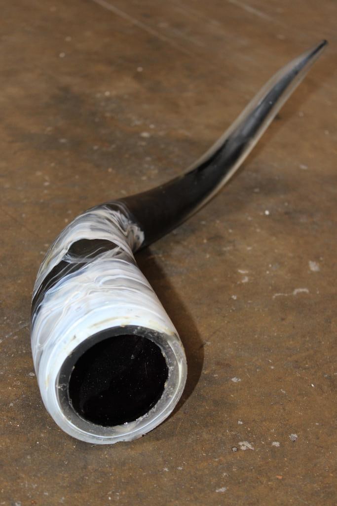 Decorative Glass Blown Horn Sculpture - 4