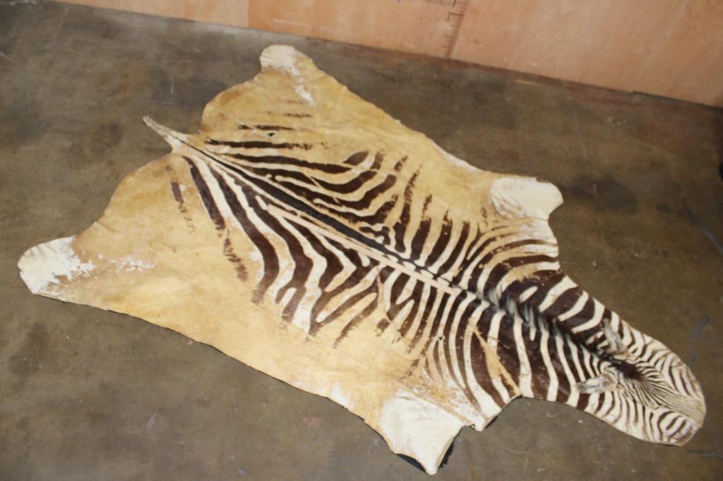 ZEBRA HIDE or ZEBRA RUG with Felt Backing - 2