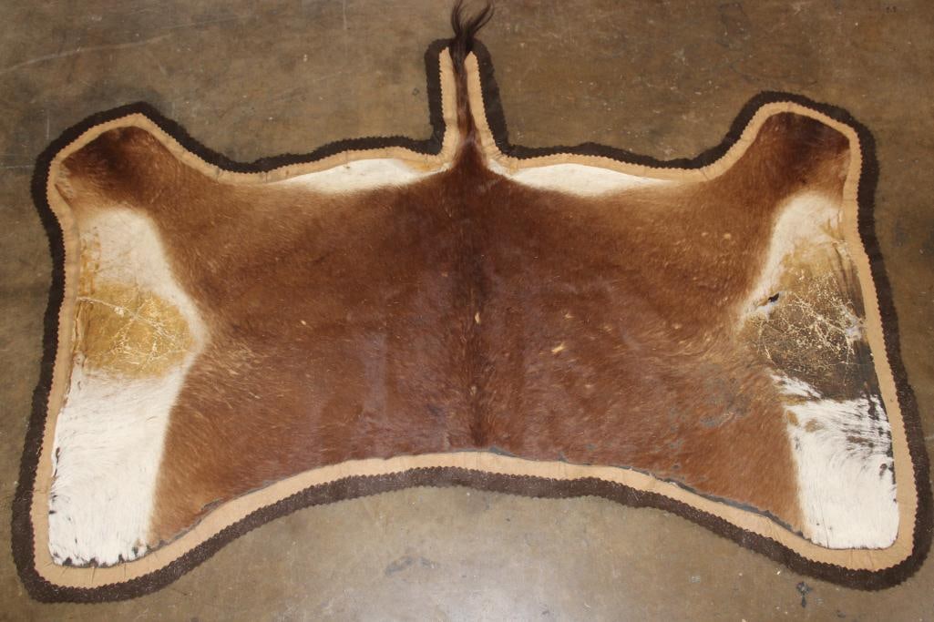 BLESBOK Back Hide RUG with Felt: BLESBOK Back Hide RUG with Felt. It measures 77" Long x 47" Wide and has wear and tear. TAXIDERMY RUGS 