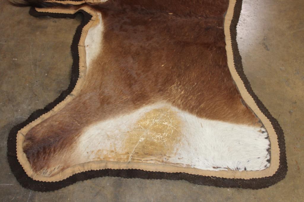 BLESBOK Back Hide RUG with Felt - 5