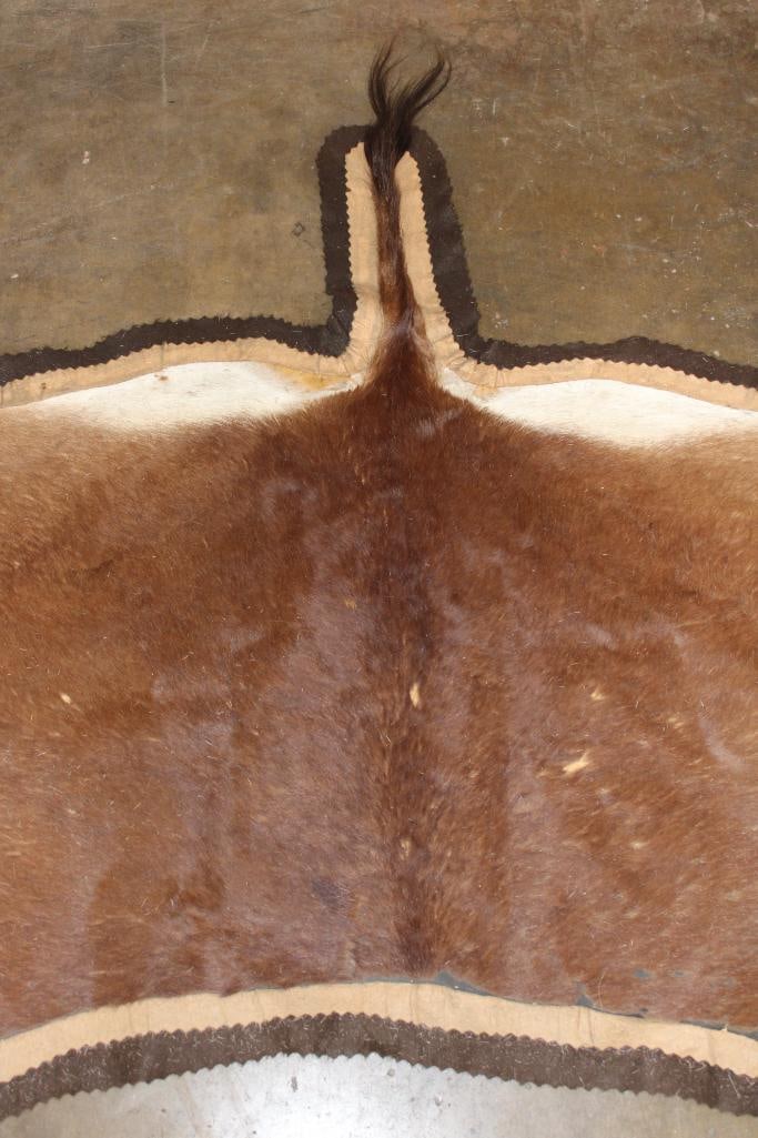 BLESBOK Back Hide RUG with Felt - 6