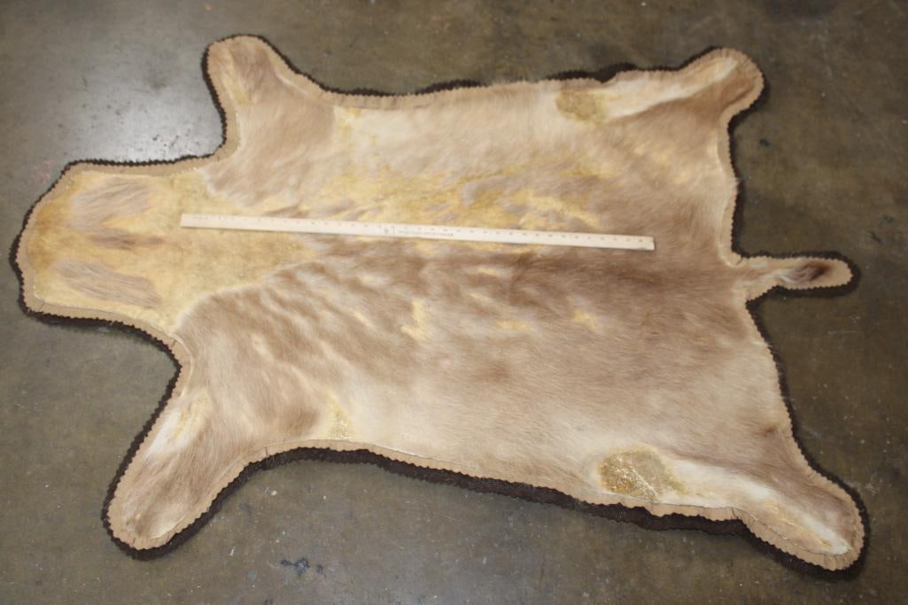 GAZELLE HIDE or GAZELLE RUG with a Felt Backing - 2