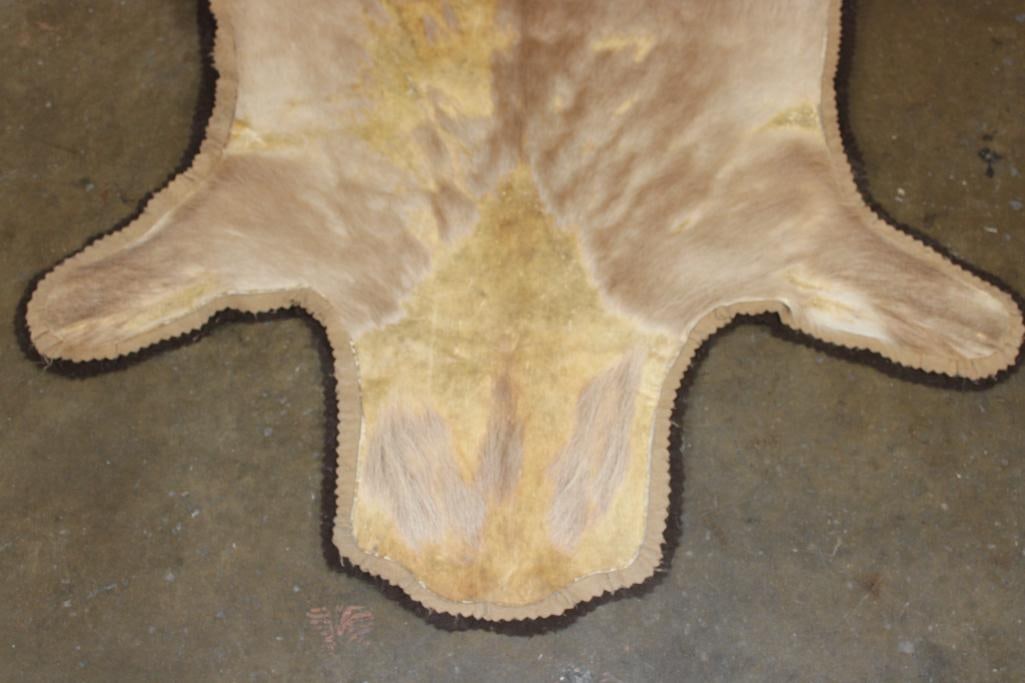 GAZELLE HIDE or GAZELLE RUG with a Felt Backing - 3