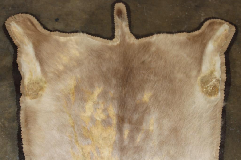 GAZELLE HIDE or GAZELLE RUG with a Felt Backing - 5
