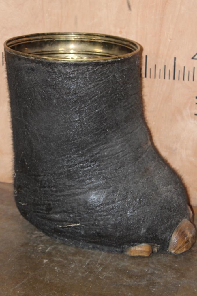 ELEPHANT Foot Canister with a Brass Liner - 2