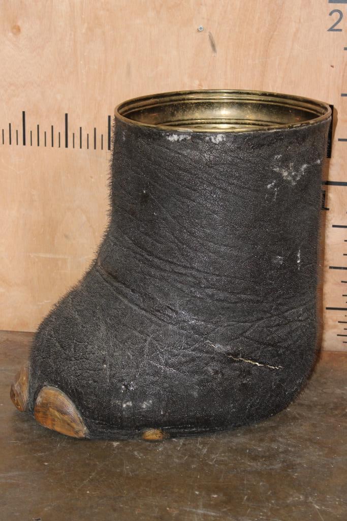 ELEPHANT Foot Canister with a Brass Liner - 3