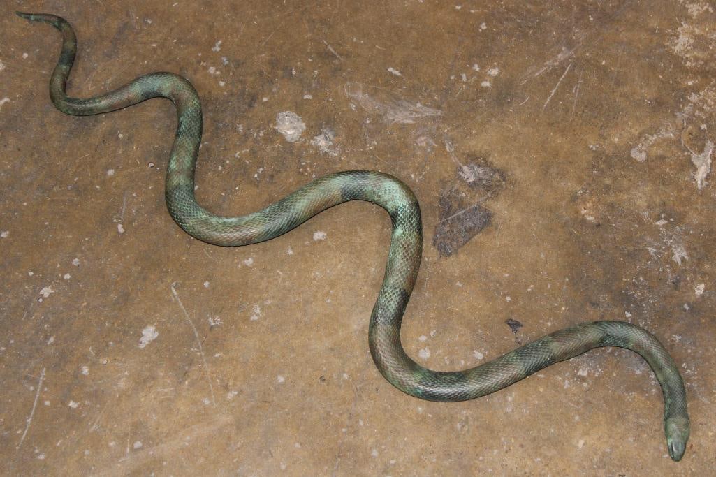 Solid Bronze CORAL SNAKE with a Green Patina: Heavy Solid Bronze CORAL SNAKE with a nice Green Patina. It measures 26.25" Long (in a straight line) x 6" Wide and Weighs 5 lbs. COLLECTIBLE BRONZE SCULPTURES 