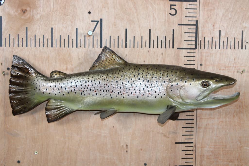 Reproduction BROWN TROUT Fish Mount: Very Nice, Newer, and Clean Reproduction BROWN TROUT Fish Mount. It measures 27 3/8" Long and it is in Very Good Condition. This was made by New Wave Taxidermy in Stuart, Florida. TAXIDERMY