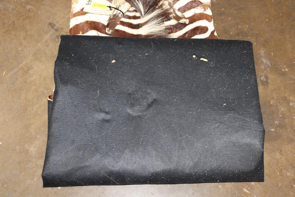 ZEBRA HIDE or ZEBRA RUG with Felt Backing - 11