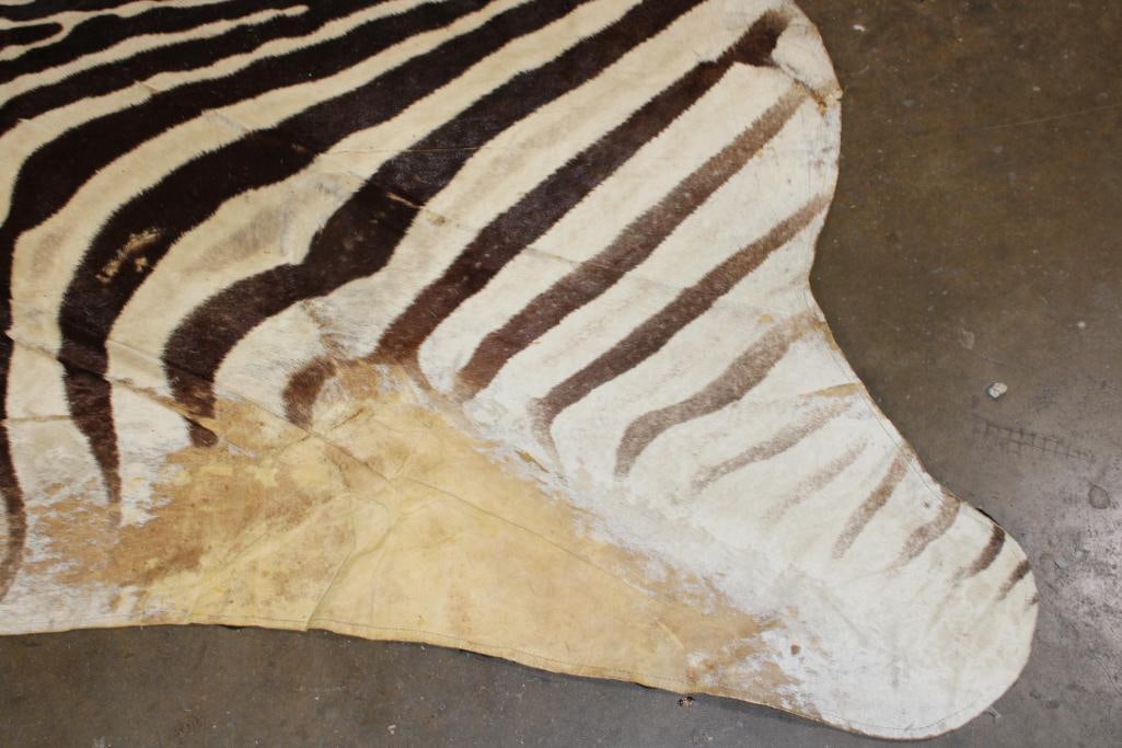 ZEBRA HIDE or ZEBRA RUG with Felt Backing - 6