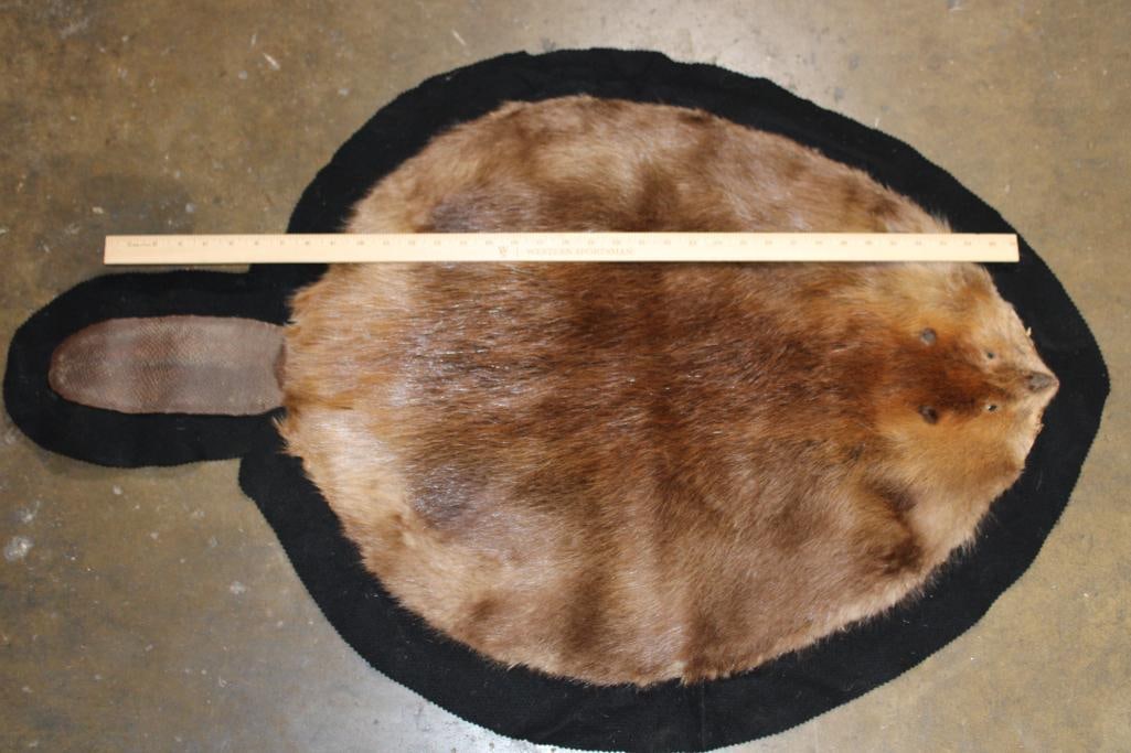 BEAVER HIDE or BEAVER RUG with Felted Backing - 2