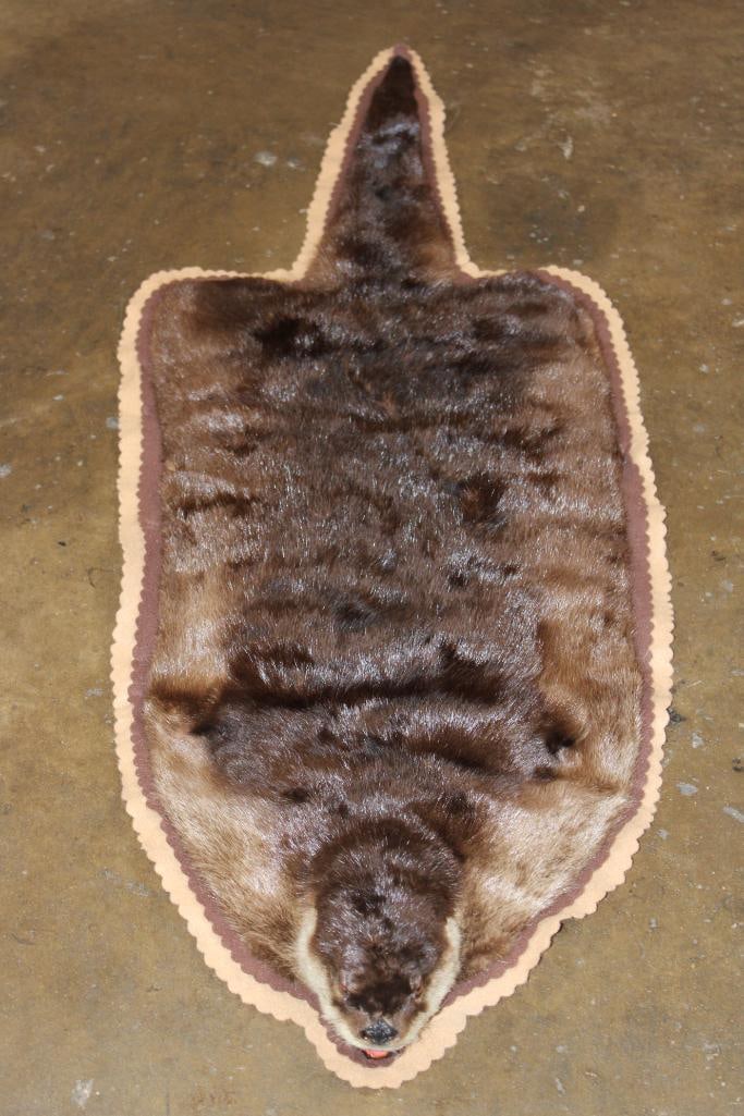 RIVER OTTER Hide Rug: Very Nice and Clean RIVER OTTER Hide Rug. It is mounted with its Head and is Double Felted. TAXIDERMY RUGS 