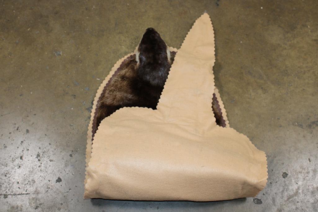 RIVER OTTER Hide Rug - 5