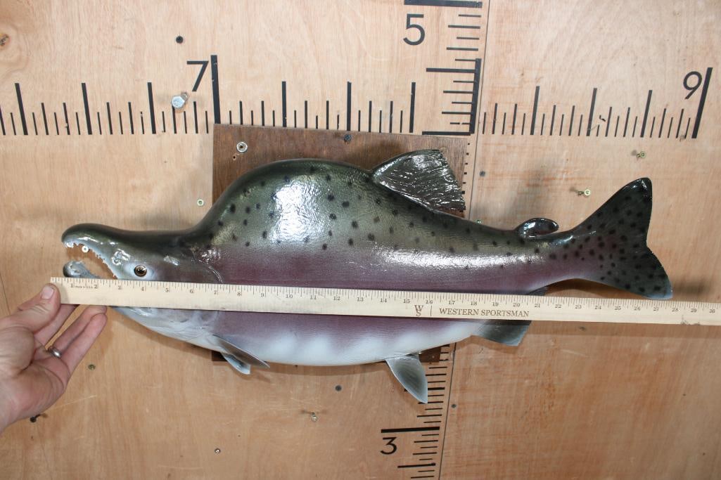 Reproduction PINK SALMON Fish Mount - 5