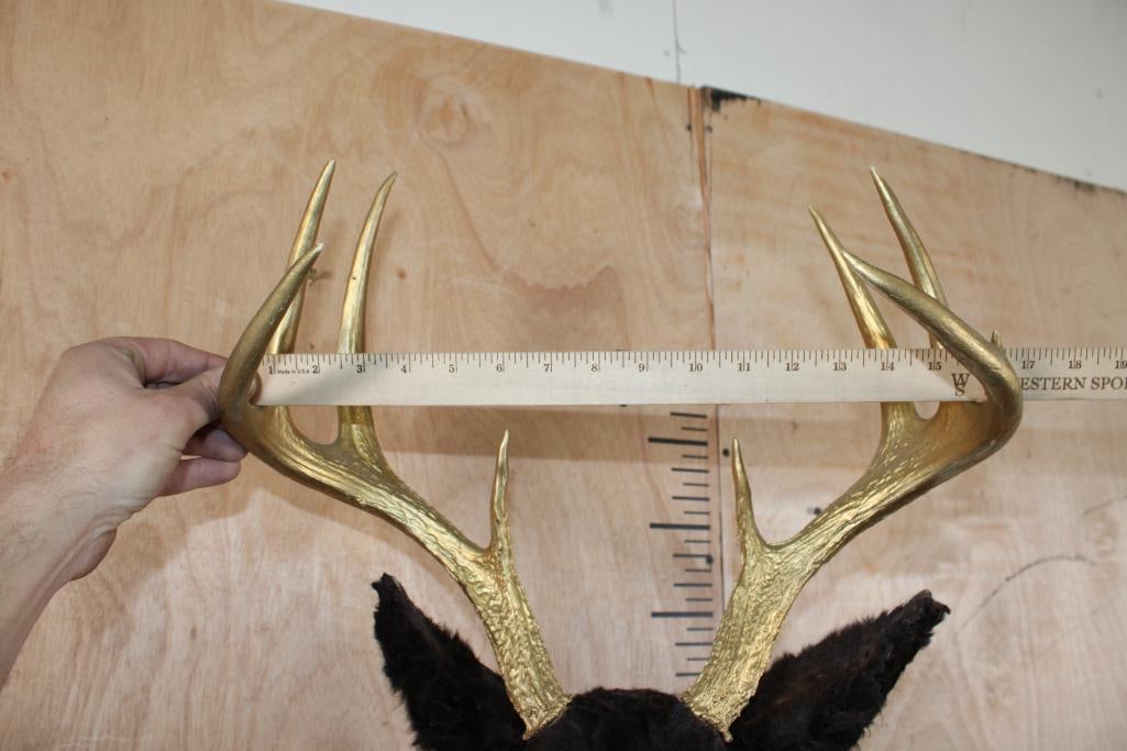 8-Point WHITETAIL DEER Shoulder Mount Dyed Black with Painted Gold Horns - 7