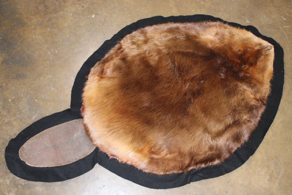 Massive BEAVER Hide or BEAVER Rug with its Tail and a Felt Backing - 3