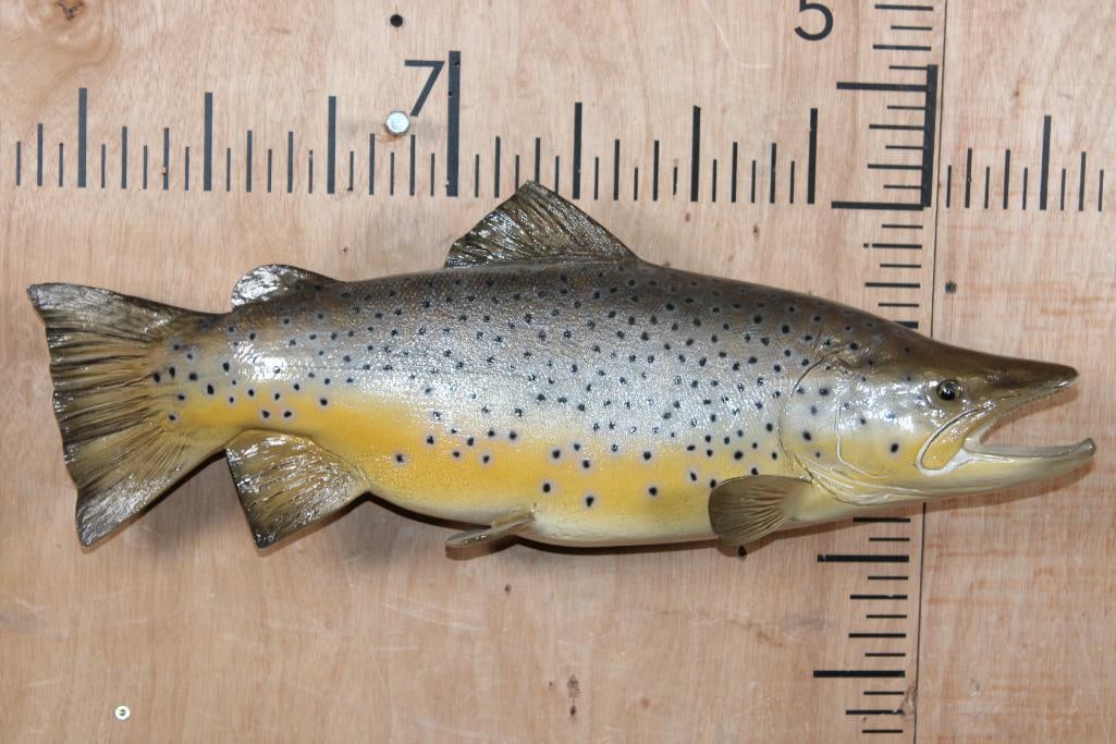 Reproduction BROWN TROUT Fish Mount: Very Nice Reproduction BROWN TROUT Fish Mount. It measures 25" Long and is in Very Good Condition. There is a metal Wall Mount for display. TAXIDERMY FISH 