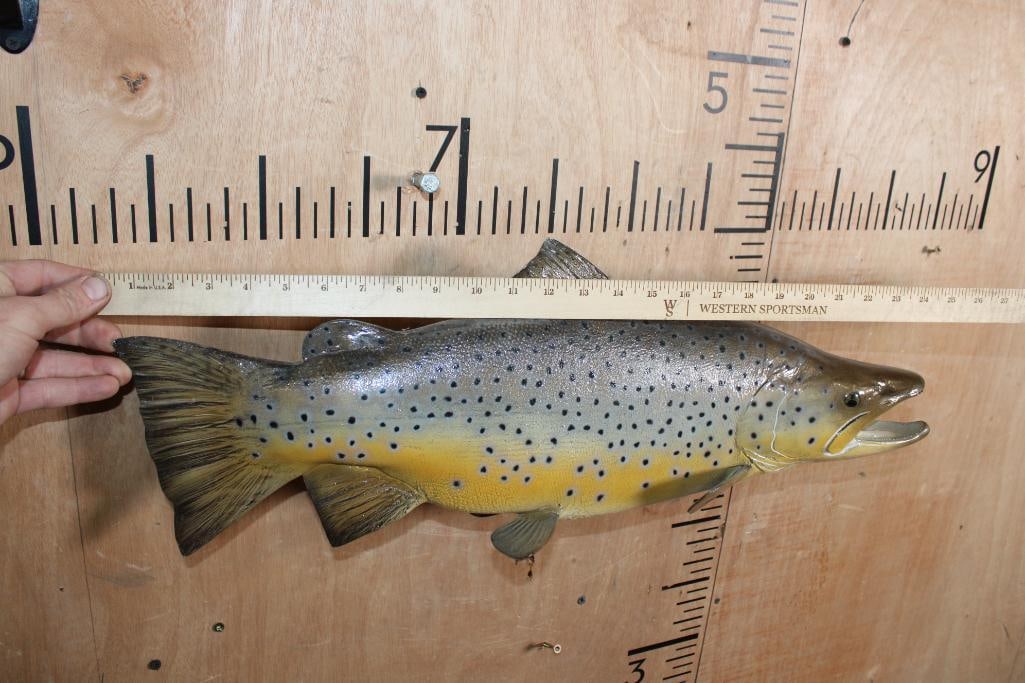 Reproduction BROWN TROUT Fish Mount - 6
