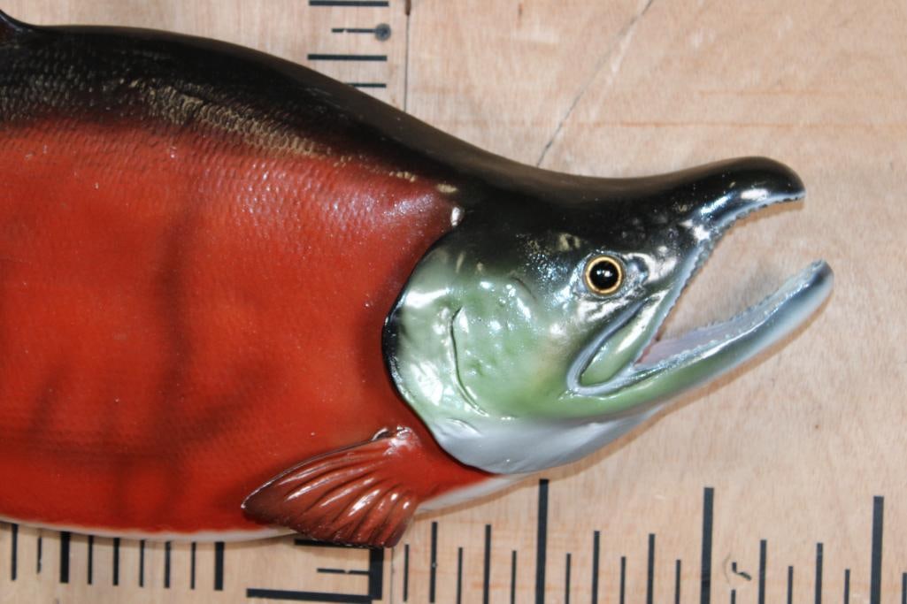Reproduction SOCKEYE SALMON Fish Mount - 2