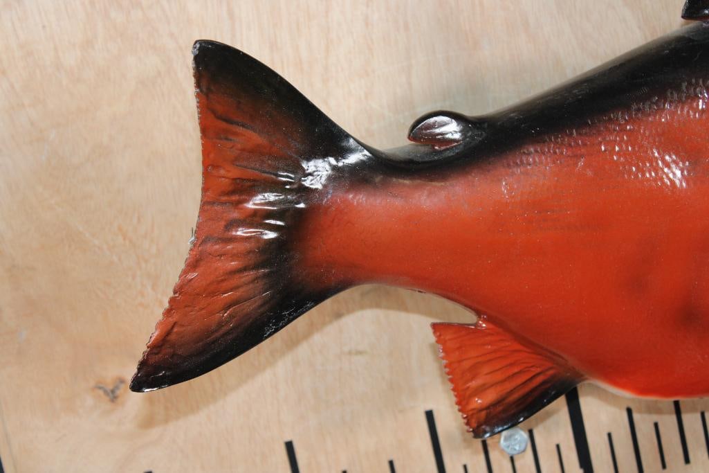 Reproduction SOCKEYE SALMON Fish Mount - 4
