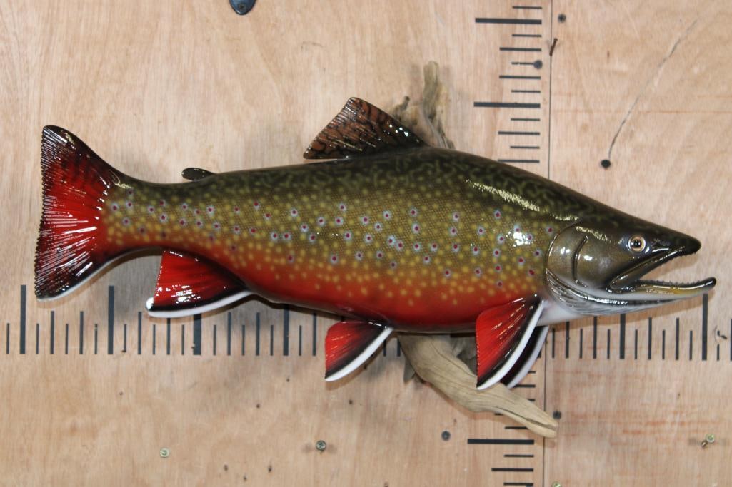 Big Reproduction BROOK TROUT on Driftwood: Very Nice, Big, and Beautiful Reproduction BROOK TROUT. It is mounted on a Driftwood Wall Hanging Base and measures 22" Long x 14" Tall x 7" Depth. It is in Very Good Condition. TAXIDERMY FISH 