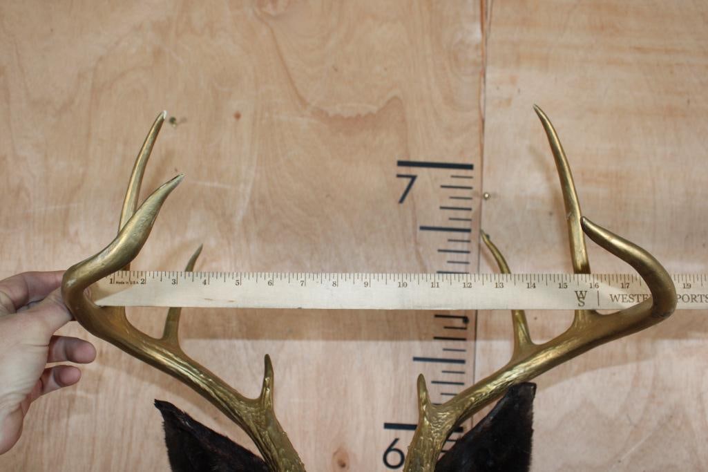 8-Point WHITETAIL DEER Shoulder Mount Dyed Black with Painted Gold Horns - 7
