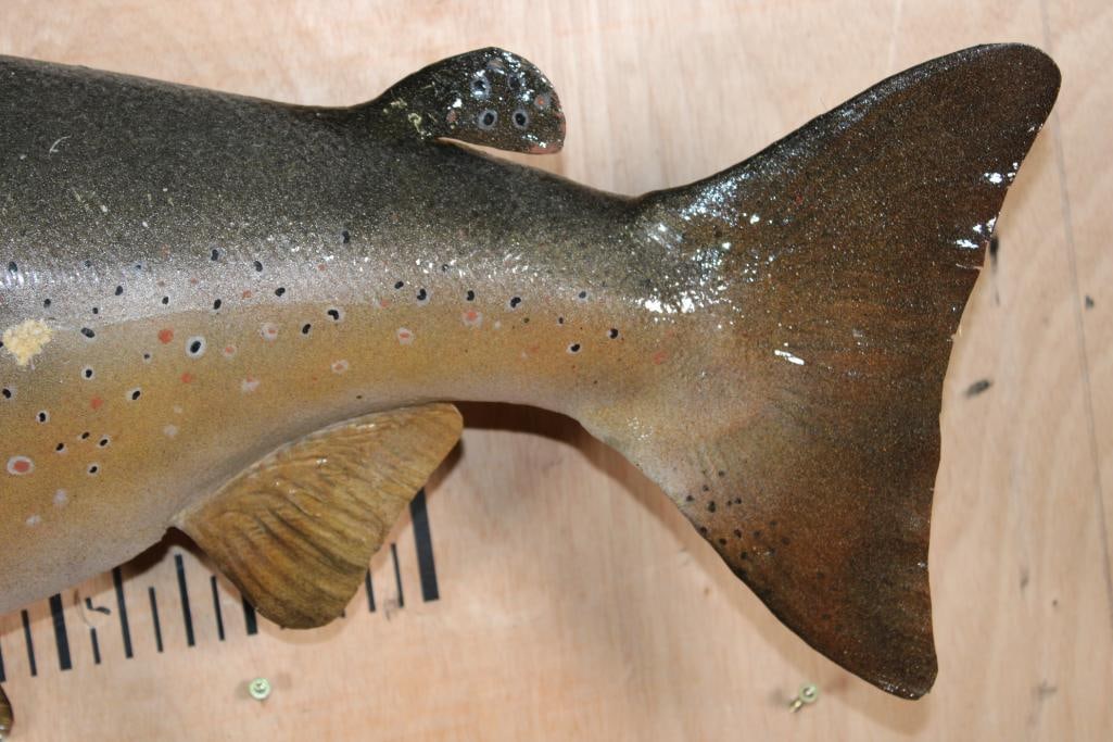 XL *Real Skin* CHINOOK KING SALMON in the Spawning Phase - 4