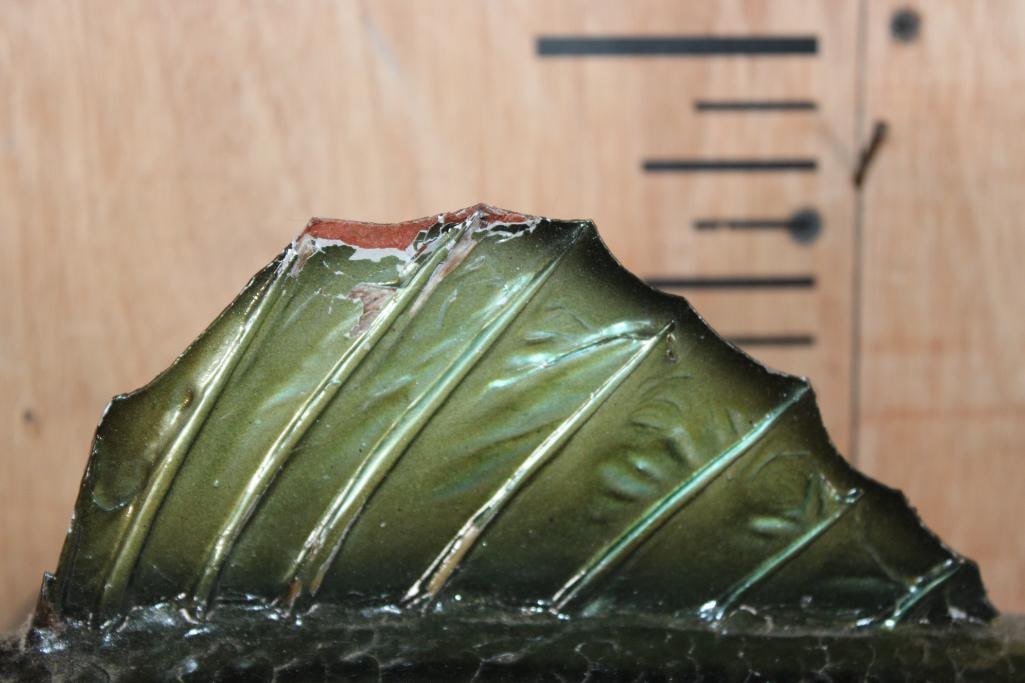 *Real Skin* STRIPED BASS "Striper" Fish Mount - 6