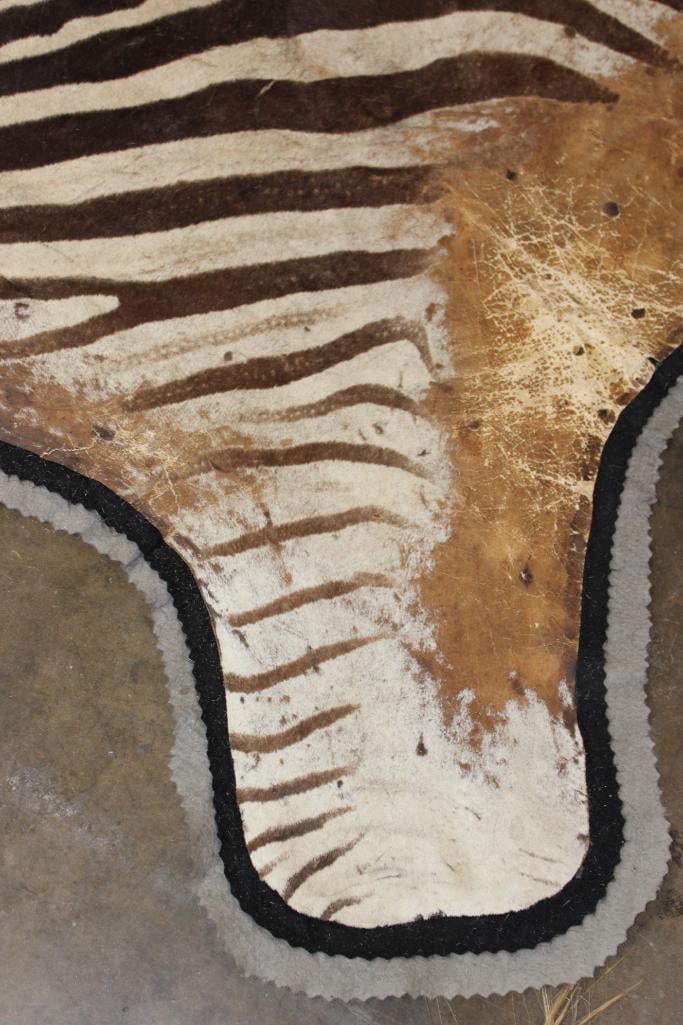Double Felted ZEBRA HIDE or ZEBRA RUG - 10