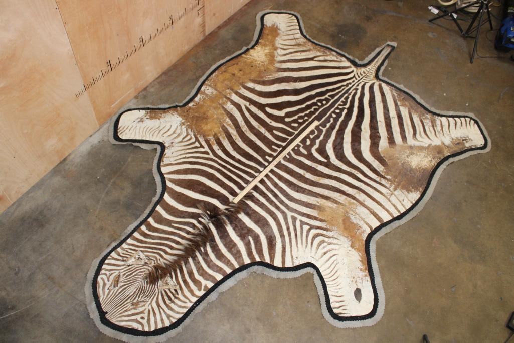 Double Felted ZEBRA HIDE or ZEBRA RUG - 2