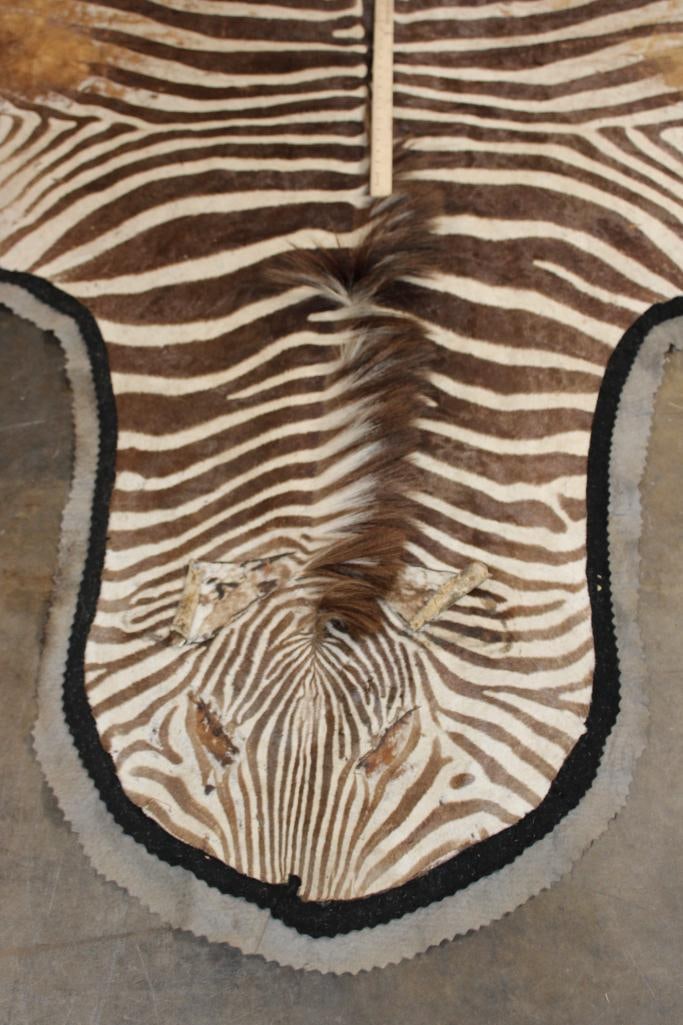 Double Felted ZEBRA HIDE or ZEBRA RUG - 3
