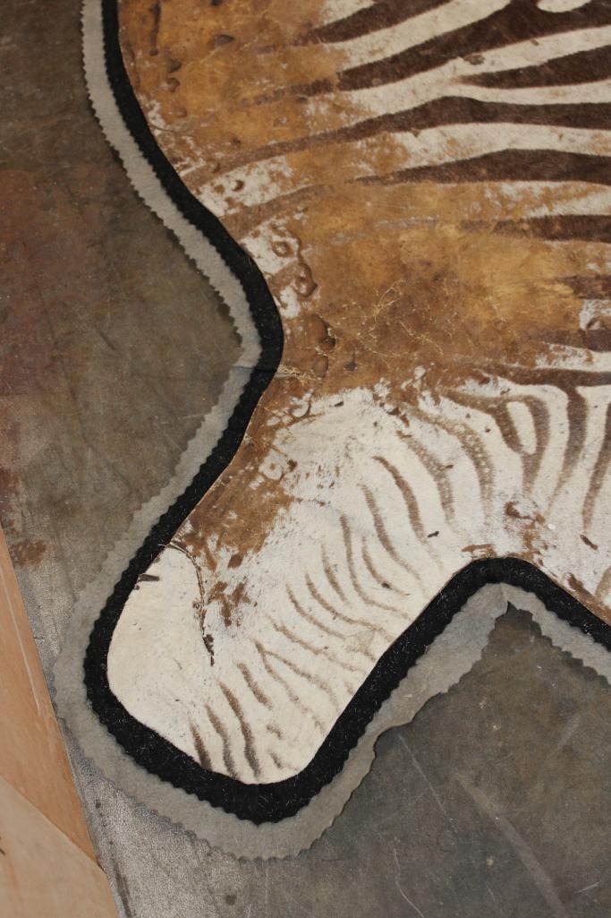 Double Felted ZEBRA HIDE or ZEBRA RUG - 4