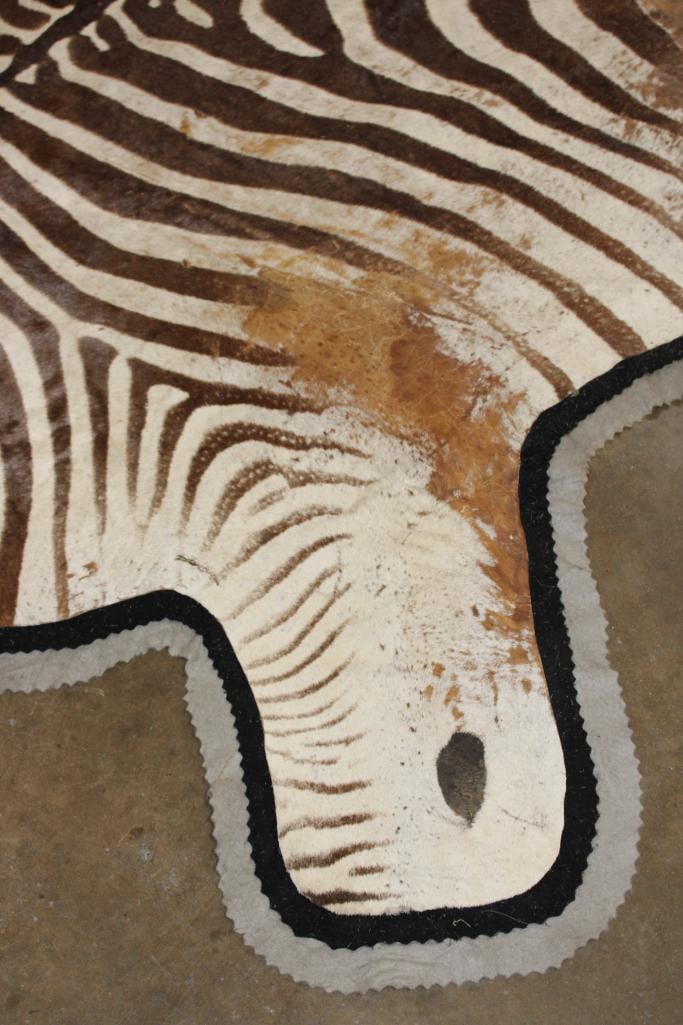 Double Felted ZEBRA HIDE or ZEBRA RUG - 5