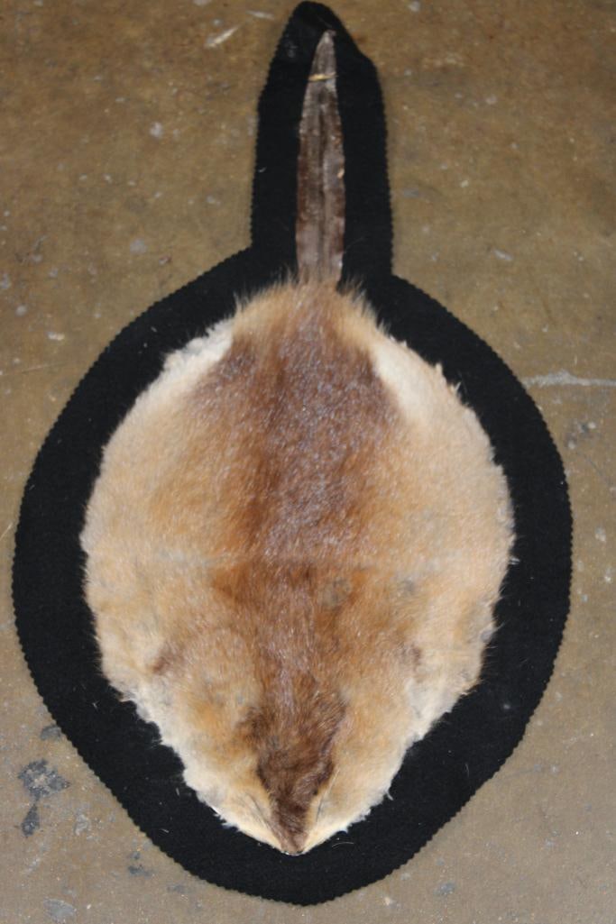 MUSKRAT Hide or MUSKRAT RUG with a Felt Backing: MUSKRAT Hide or MUSKRAT RUG with a Felt Backing. It measures 24.5" Long x 13.5" Wide and is in Good Condition. TAXIDERMY 