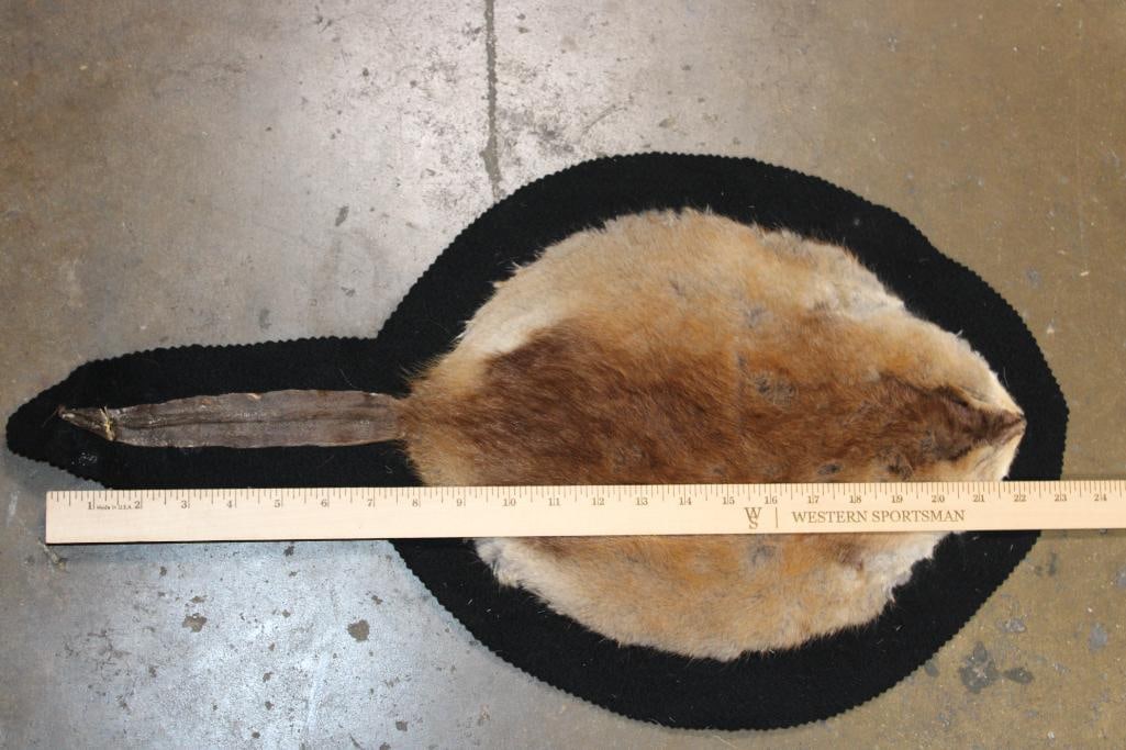 MUSKRAT Hide or MUSKRAT RUG with a Felt Backing - 2